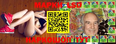 крисы Новокубанск