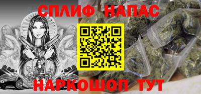 крисы Новокубанск