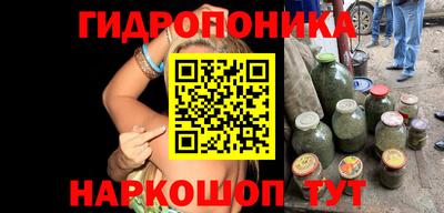 каннабис Новодвинск