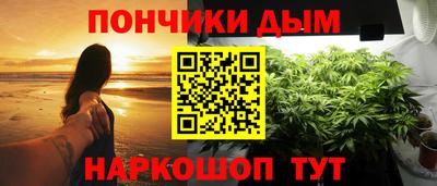крисы Новокубанск