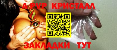 крисы Новокубанск